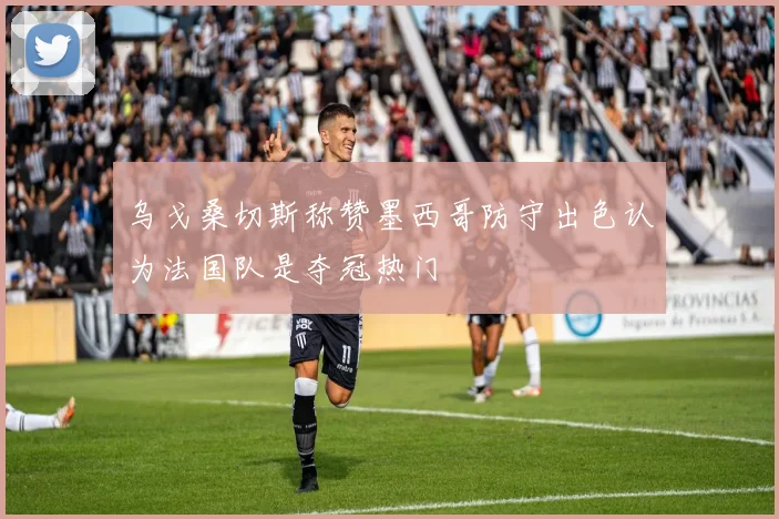 乌戈桑切斯称赞墨西哥防守出色认为法国队是夺冠热门